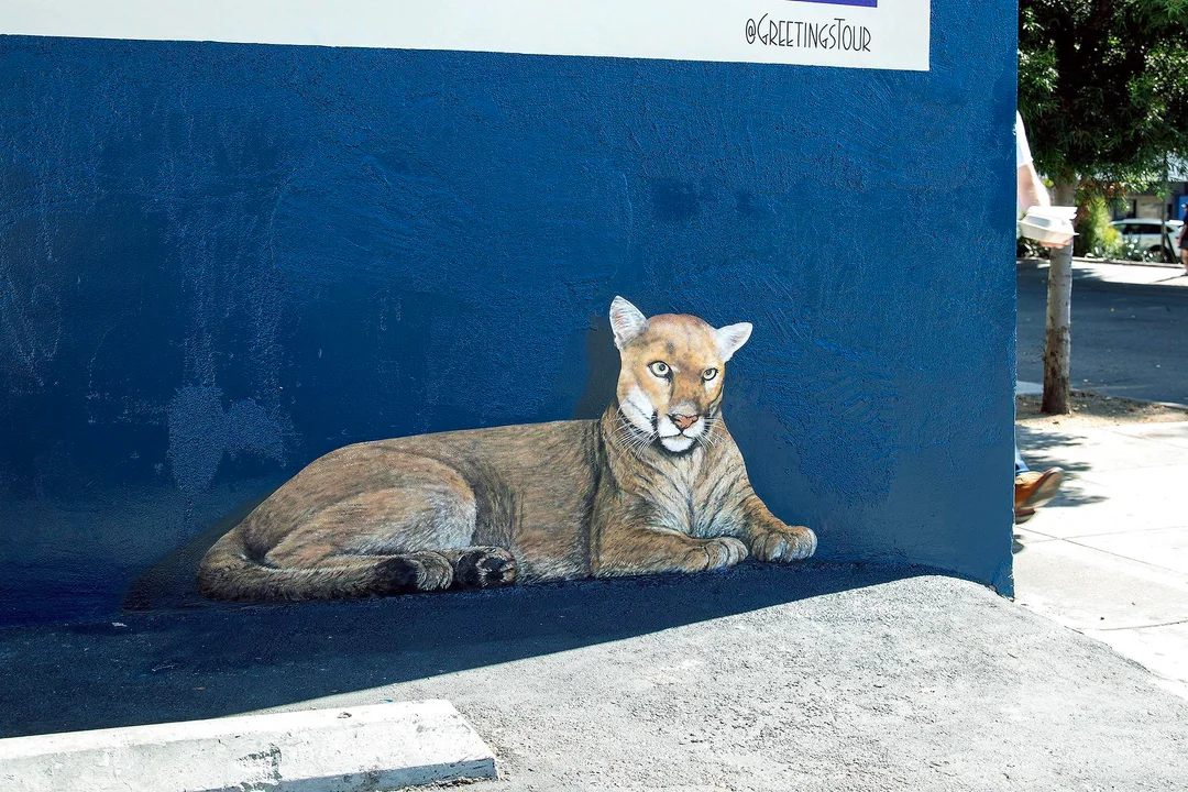 A painting of the mountain lion P22 under the mural.